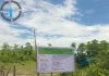 CCW Sentil Bupati Lutra Soal Proyek Cetak Sawah, Diminta Tak Selalu Berada Di Balik Meja