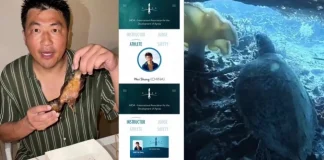 WNA China Ditangkap di Makassar, Terlibat Aktivitas ‘Spearfishing’